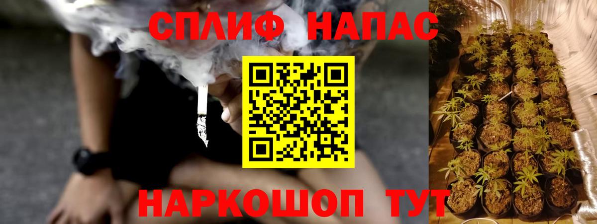 Бошки Шишки ГИДРОПОН Набережные Челны